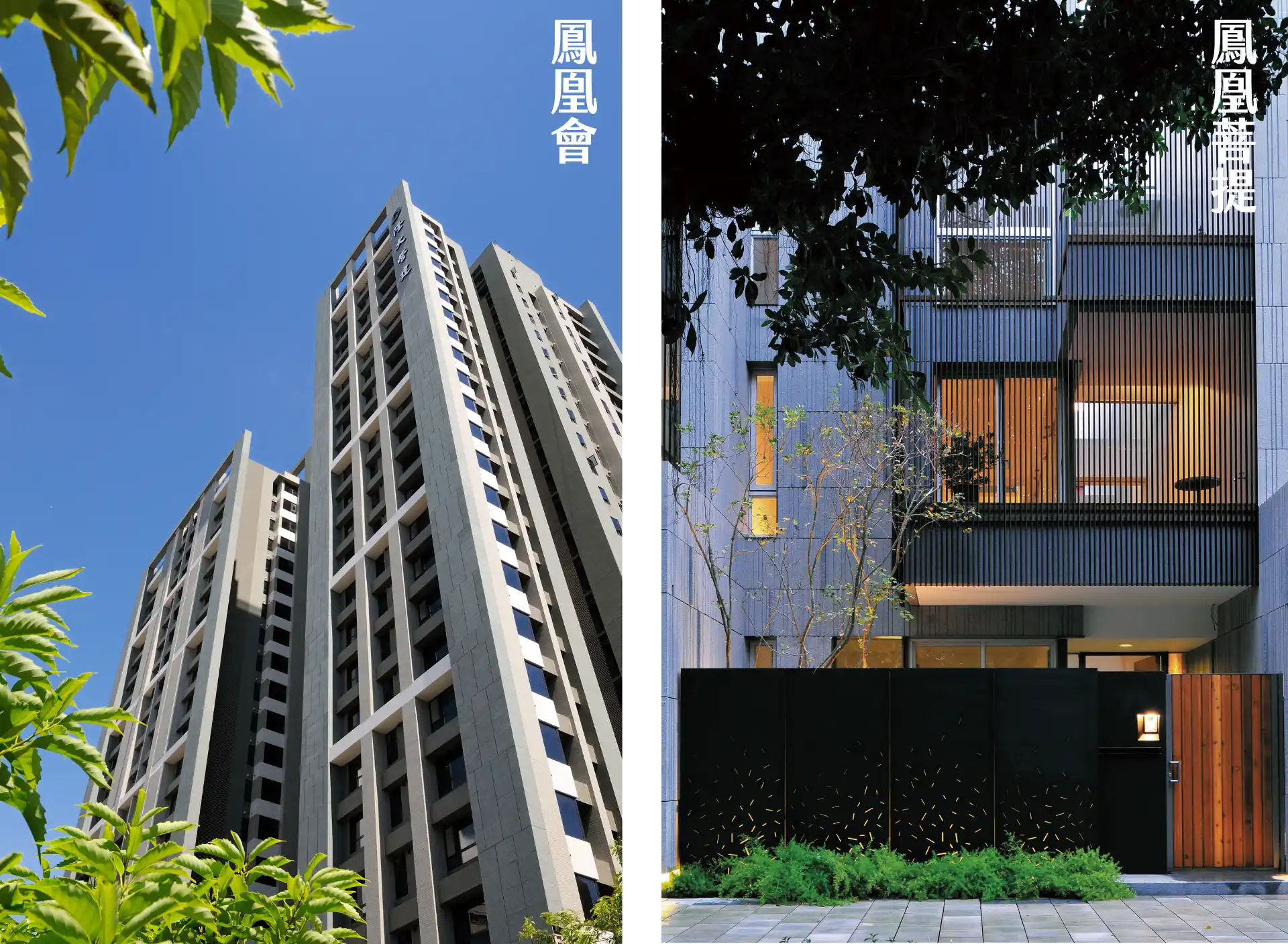 鳳凰會、鳳凰菩提